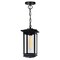 Cwi Lighting Oakwood 1 Light Outdoor Black Pendant 0422P7-1-101 - alternate 1